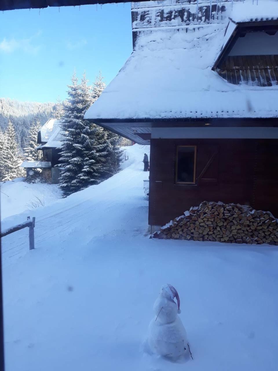 Holiday Home Elena Kopaonik Esterno foto