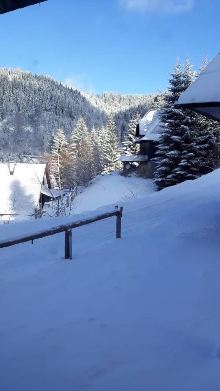 Holiday Home Elena Kopaonik Esterno foto